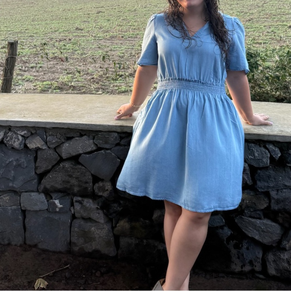 Blue V-Neck Smocked Waist Dress